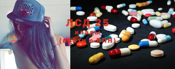 PSILOCYBIN Россошь