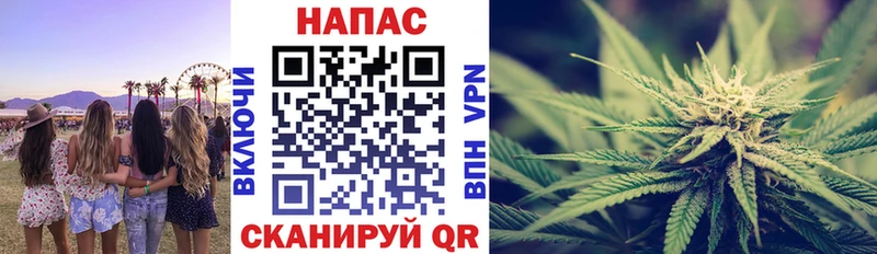 Конопля тримм  Западная Двина 
